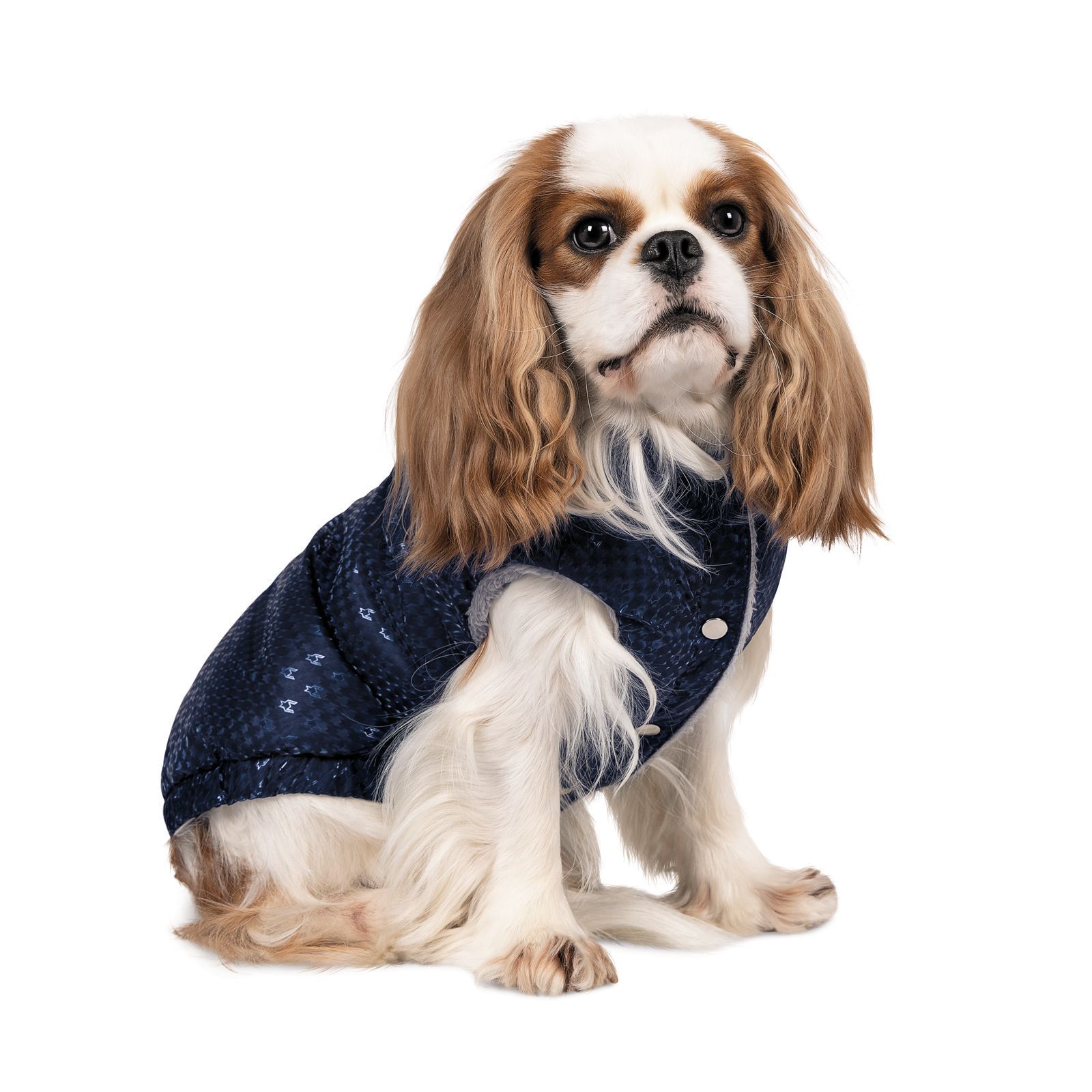 Одежда для собак жилет Lucky S