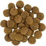 Сухой корм для собак крупных пород Savory со свежим мясом индейки и ягненка 3кг — изображение 2