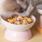 Керамическая миска для домашних животных